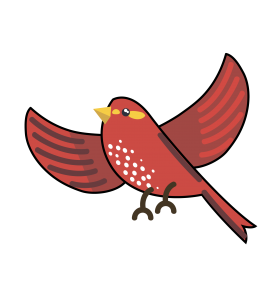 bird