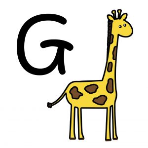 g alphabet