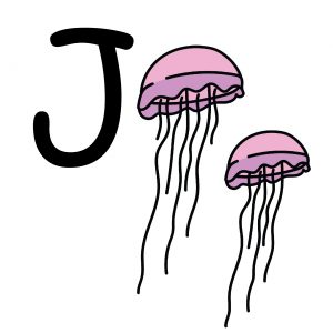 J alphabet