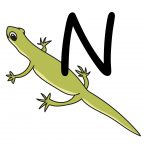 N alphabet