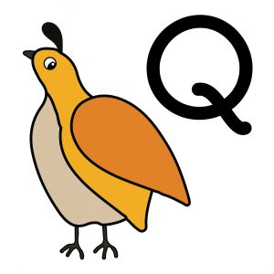 Q alphabet