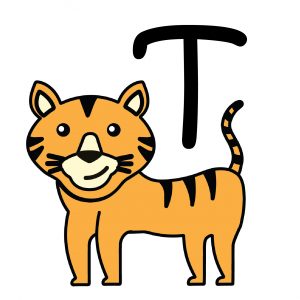 T alphabet