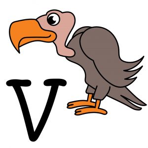 V alphabet