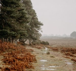 annie-spratt-r9RWSXzI9d4-unsplash