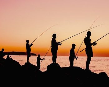 fishing-4933219_640
